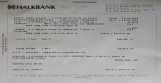 Antbirlikten Dolar Resti