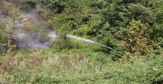 Kastamonuda Çıkan Orman Yangını Helikopter İle Söndürüldü