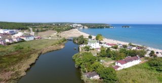 Sinopun Aklimanı Görenleri Etkiliyor