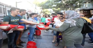 Sokak Hayvanları İçin ‘Yaz Seferberliği