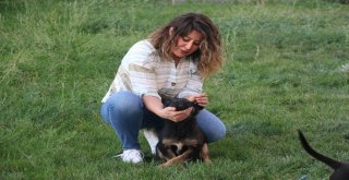 Ölmek Üzere Olan Köpek Vatandaşların Duyarlılığı Sayesinde Kurtarıldı