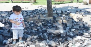 Dondurma Değil Kuş Yemi İstiyor