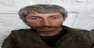 Şırnakta 2 Pkklı Terörist Sağ Olarak Yakalandı
