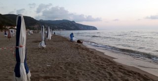 Sahile Vuran Varil Ekipleri Alarma Geçirdi