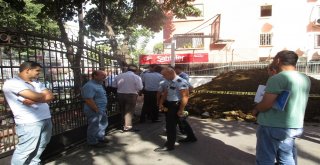 Okul Bahçesindeki Kanalizasyon Kazısında 2 Testi Bulundu