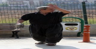 En Küçük Acemi Kasap