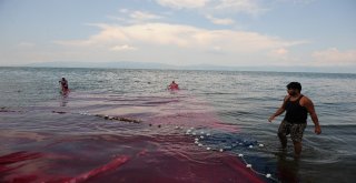 (Özel Haber) Balıkçılar Bu Balığa Av Yasağı Getirilmesini İstiyor