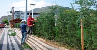 Park Çalışmalarında Son Aşamaya Gelindi
