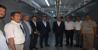 Bulanıkta Mobil Kesimhanenin Açılışı Yapıldı