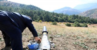 Arılarını Tüp Gazlı Kovucuyla Koruyor