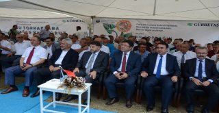 Gübretaş Model Bahçe Uygulamasında Rekor Fındık