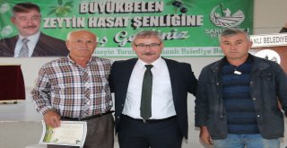 Saruhanlı Belediyesi Zeytin Hasat Şenliği Düzenlendi