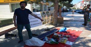 En İlginç Sergi: Topladıkları Çöpleri Şehrin Ortasında Sergilediler
