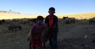 En Büyük Hayali Şaşırttı