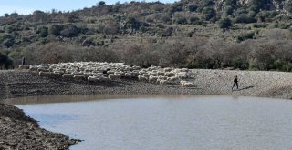 İçme suyu göletleri geldi, hayvancılık yeniden canlandı