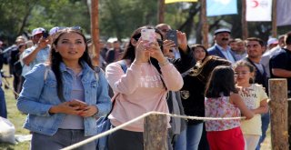 Solo Türk Erzurum Semalarında Nefes Kesti