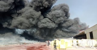 Antalyadaki Yangına Müdahale Devam Ediyor