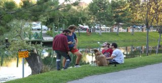 Eskişehirliler Kanlıkavakta Nefes Alıyor