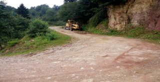 Selin Yaraları Sarılıyor