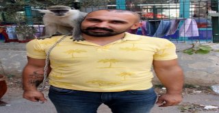 Adıgüzel, Maymununa 1,5 Ay Sonra Kavuştu
