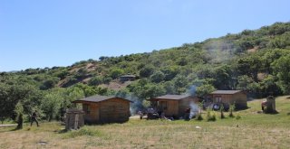 Doğa Harikası Yüzenadalara Büyük İlgi Görüyor