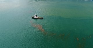 (Özel Haber) Çamura Bulanan İstanbul Boğazı Havadan Görüntülendi