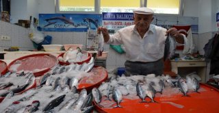 Balıkçılar 1 Eylülü Bekliyor