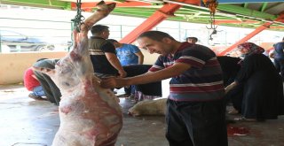 Osmangazide Hijyenik Kurban Kesimi