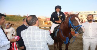 Van Tarihinde Bir İlk