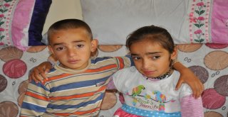 Karslı 10 Yaşındaki Meryemin Feryadı