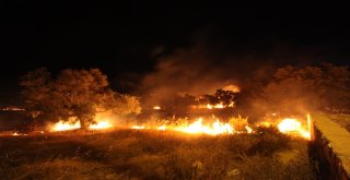 Bodrumda Alevli Gece Mahalle Sakinleri Korku Dolu Anlar Yaşadı