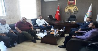 2019 Dünya Kayısı Sempozyumu Malatyada Yapılacak