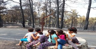 Antalyalı Çiftçiden Tarım Bakanına ‘Yangın‘ Mektubu