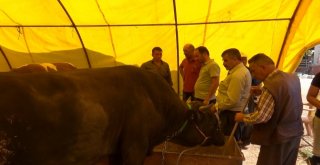 Kırıkkalede Kurban Pazarı Hareketlendi