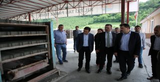 Atakumda ‘Taş Parke Hızı