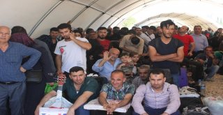 Kurban Bayramı İçin Ülkesine Giden Suriyelilerin Sayısı 27 Bini Aştı