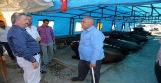 Başkan Palancıoğlu Kurban Pazarında