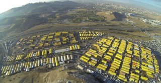 Yenimahallede Kurban İçin Hazırlıklar Başladı