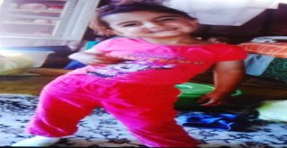 Evrimi, Kadavra Köpeği Mavi Mezarlıkta Aradı