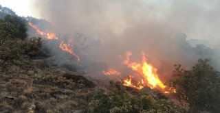 Aksaraydaki Orman Yangını 50 Saat Sonra Kontrol Altına Alındı
