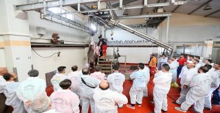 Kurbanı Usta Eller Kesecek