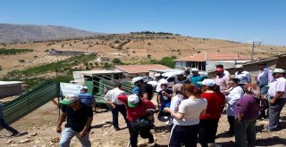 Yeşilyurtta Mobil Koyun Yıkama Ve İlaçlama