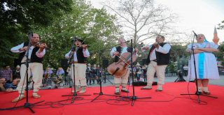 Yenimahallede Dans Festivali