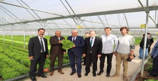 Erzincan Milletvekili Karaman Sera İşletmesini Ziyaret Etti