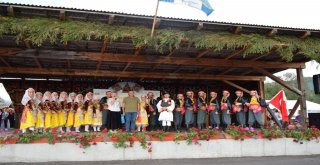 Paü Halkoyunları Topluluğu Türkiyeyi, Romanyada Temsil Etti