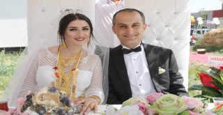 Yüksekovalı Avukat Çifte Renkli Kır Düğünü