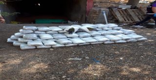 Ahırında Uyuşturucu Bulunan Ziraat Mühendisi Tutuklandı