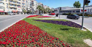 İzmir’den iç açıcı görüntüler