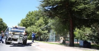 Melikgazide Ağaç Ve Parklarda Sürekli İlaçlama