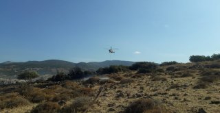Aliağada Makilik Alanda Yangın